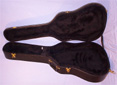 Guitar case
