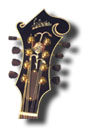 Learn more about mandolins