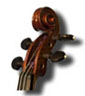 Learn more about violins